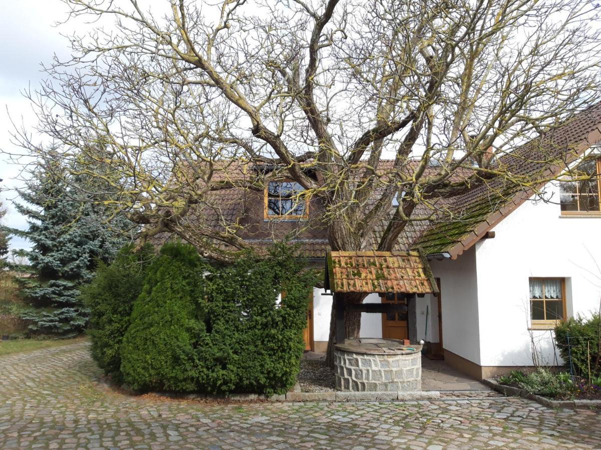 Ein Bett Im Kornfeld - Haus Morgensonne - Mit Innenpool Schonfeld  外观 照片