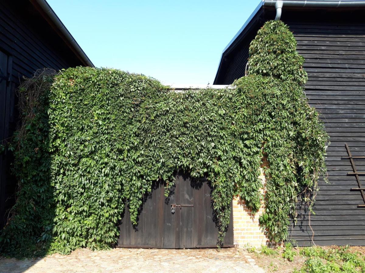 Ein Bett Im Kornfeld - Haus Morgensonne - Mit Innenpool Schonfeld  外观 照片