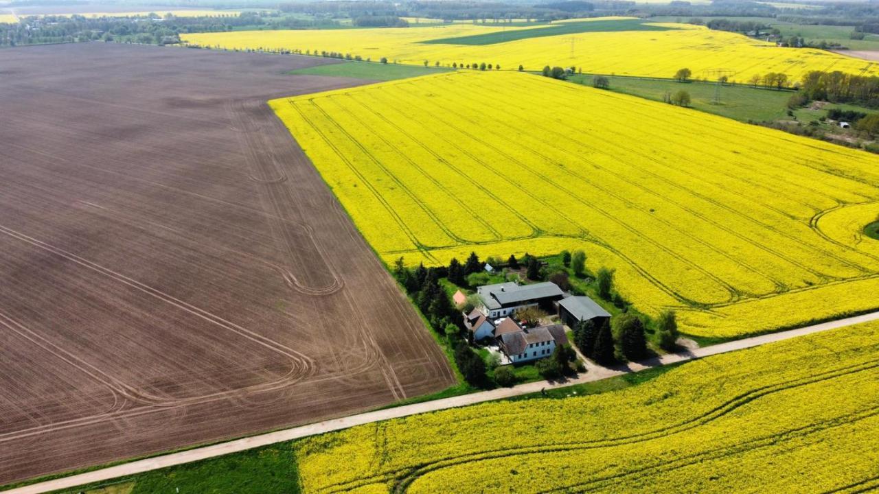 Ein Bett Im Kornfeld - Haus Morgensonne - Mit Innenpool Schonfeld  外观 照片