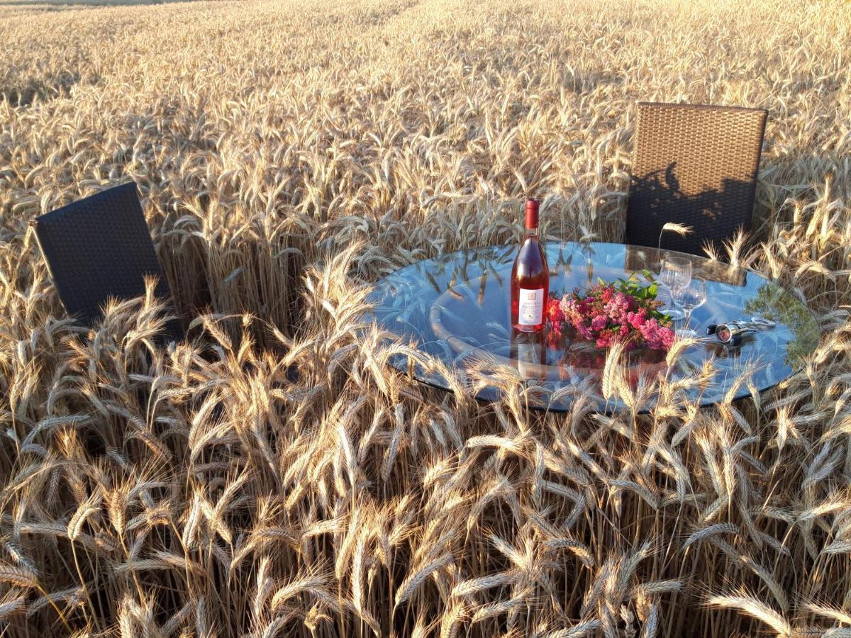 Ein Bett Im Kornfeld - Haus Morgensonne - Mit Innenpool Schonfeld  外观 照片