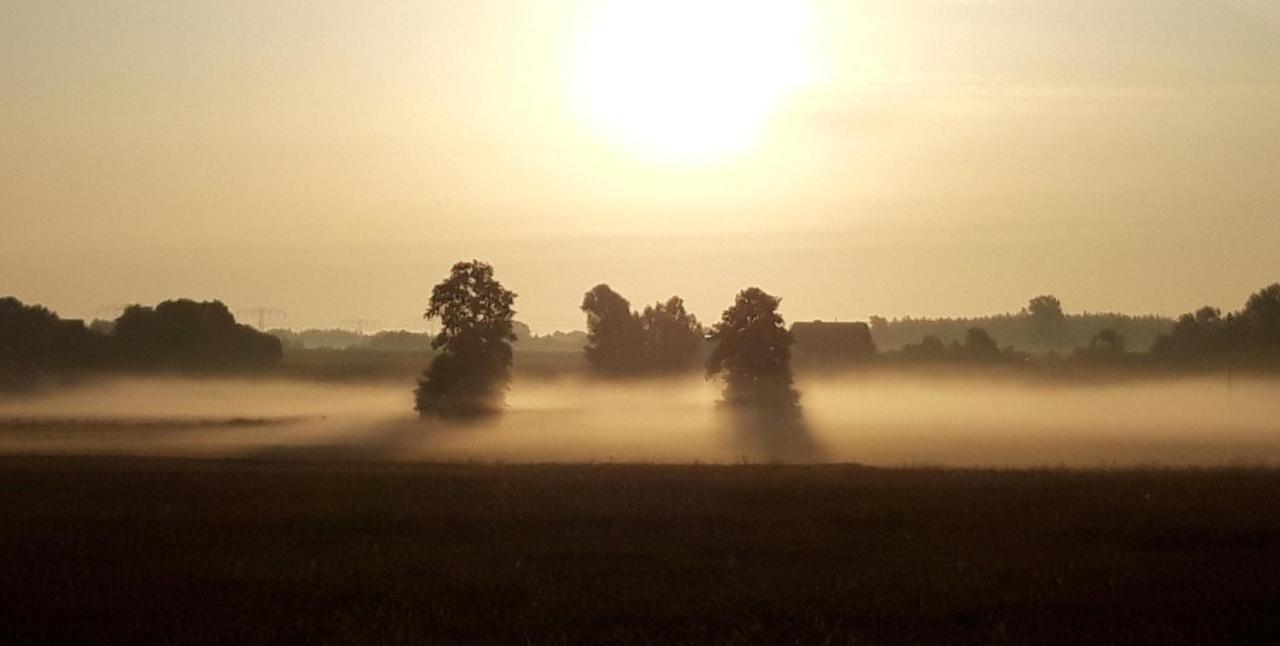 Ein Bett Im Kornfeld - Haus Morgensonne - Mit Innenpool Schonfeld  外观 照片