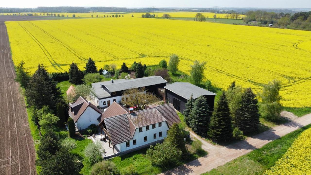 Ein Bett Im Kornfeld - Haus Morgensonne - Mit Innenpool Schonfeld  外观 照片